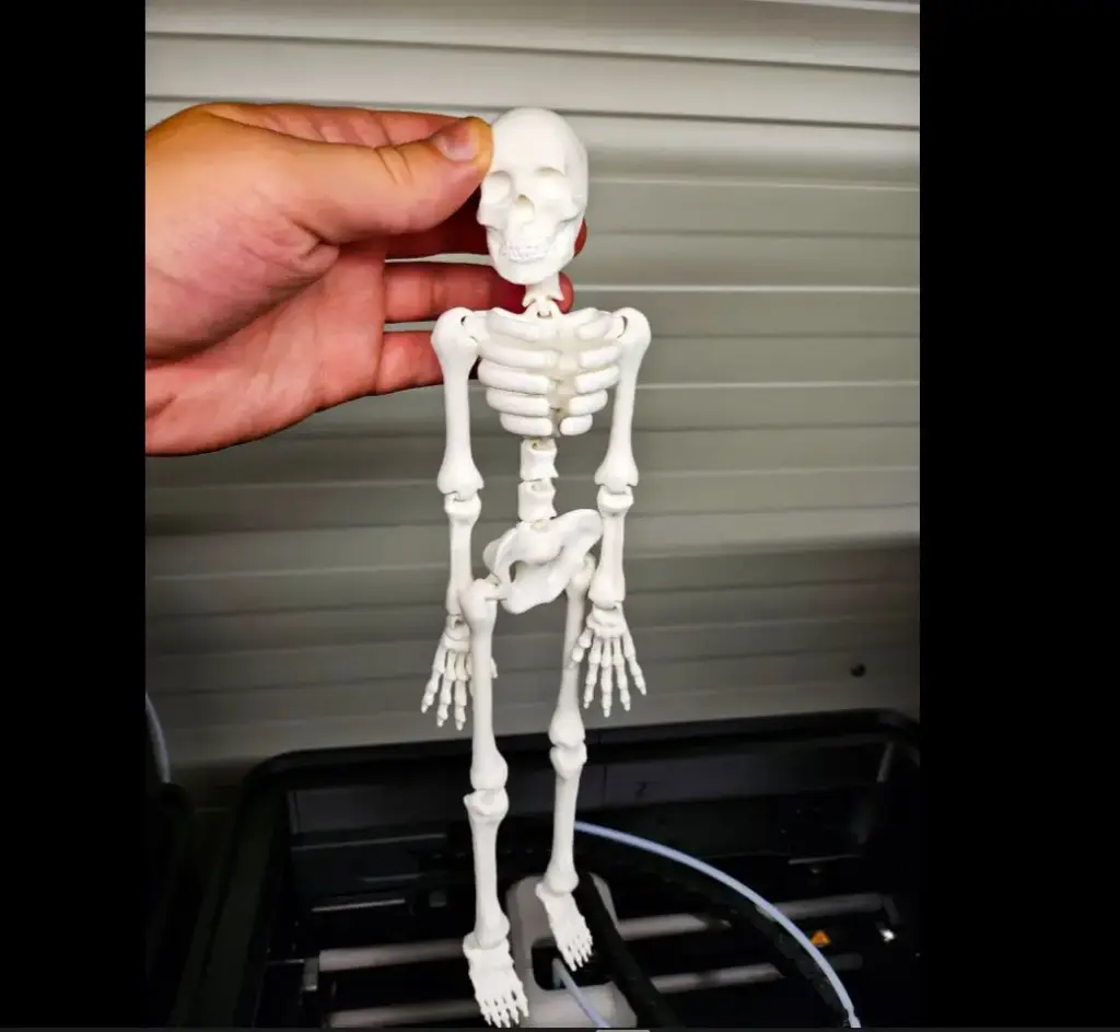 Flexi Skelaton 