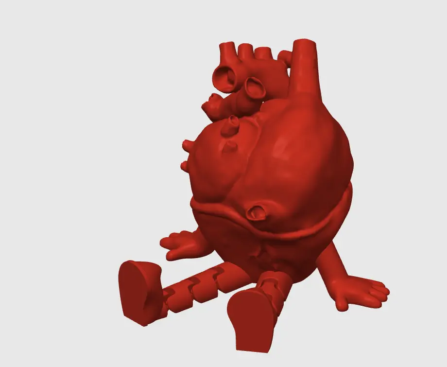 Flexi Heart