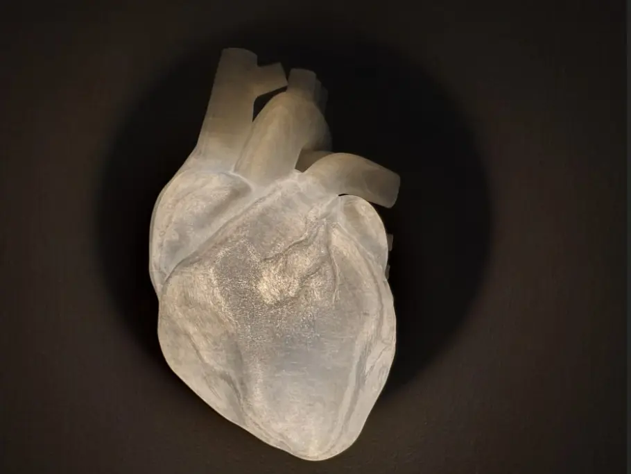 Wall Heart Lamp