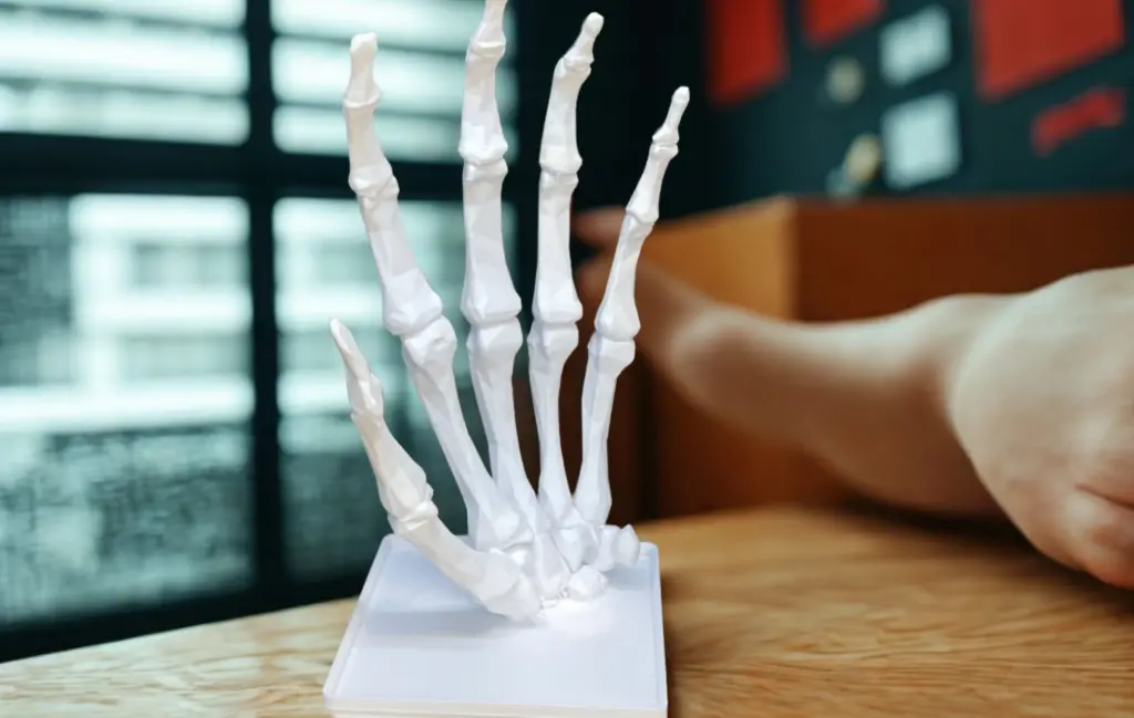 Bone Hand