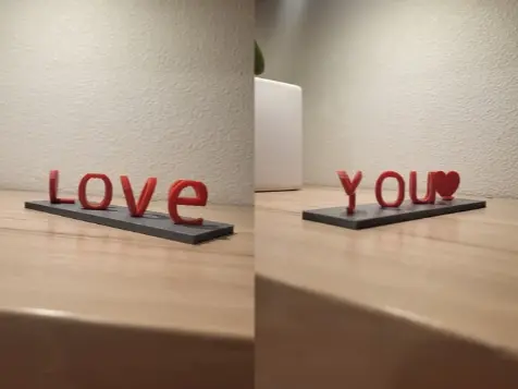Dual Love 