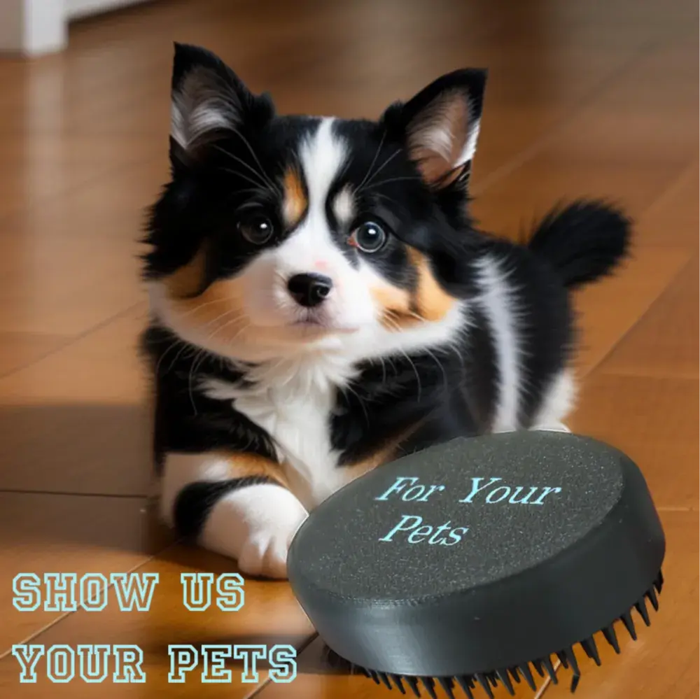 Pets Comb